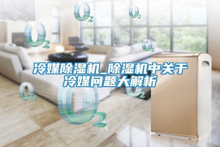 冷媒除濕機(jī)_除濕機(jī)中關(guān)于冷媒問(wèn)題大解析