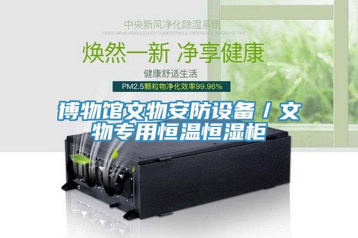 博物館文物安防設(shè)備／文物專用恒溫恒濕柜