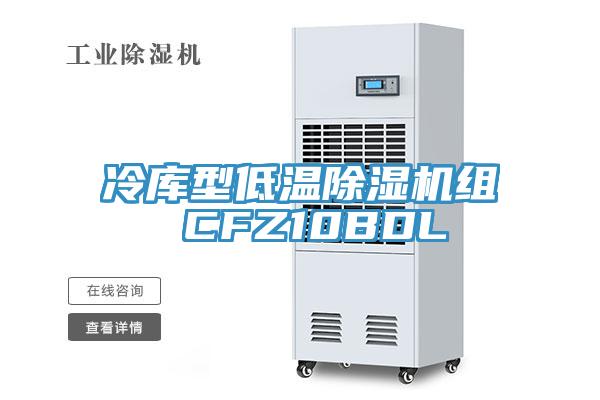 冷庫(kù)型低溫除濕機(jī)組 CFZ10BDL