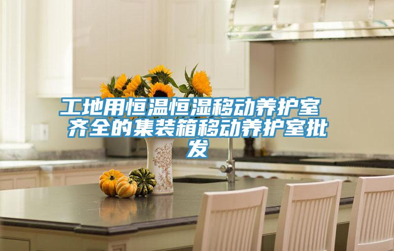 工地用恒溫恒濕移動養(yǎng)護(hù)室 齊全的集裝箱移動養(yǎng)護(hù)室批發(fā)