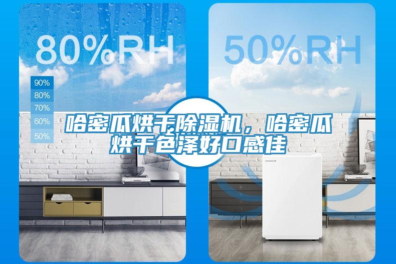 哈密瓜烘干除濕機，哈密瓜烘干色澤好口感佳