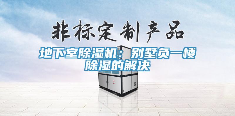 地下室除濕機(jī)：別墅負(fù)一樓除濕的解決