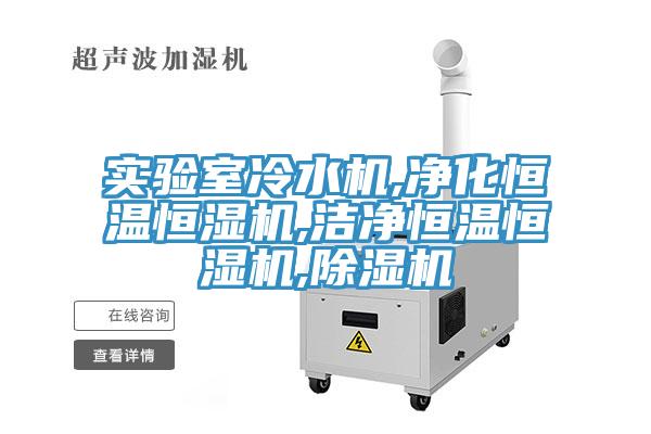 實(shí)驗(yàn)室冷水機(jī),凈化恒溫恒濕機(jī),潔凈恒溫恒濕機(jī),除濕機(jī)