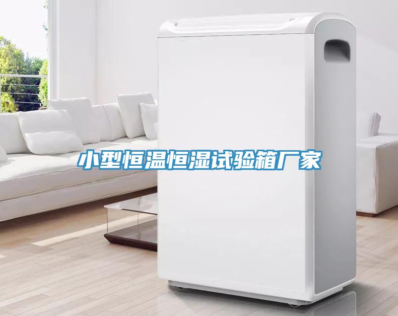 小型恒溫恒濕試驗箱廠家