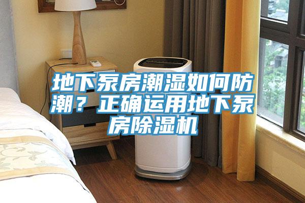 地下泵房潮濕如何防潮？正確運用地下泵房除濕機