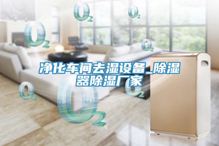 凈化車間去濕設備_除濕器除濕廠家