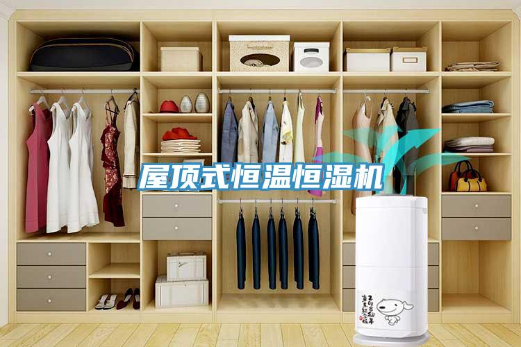 屋頂式恒溫恒濕機(jī)