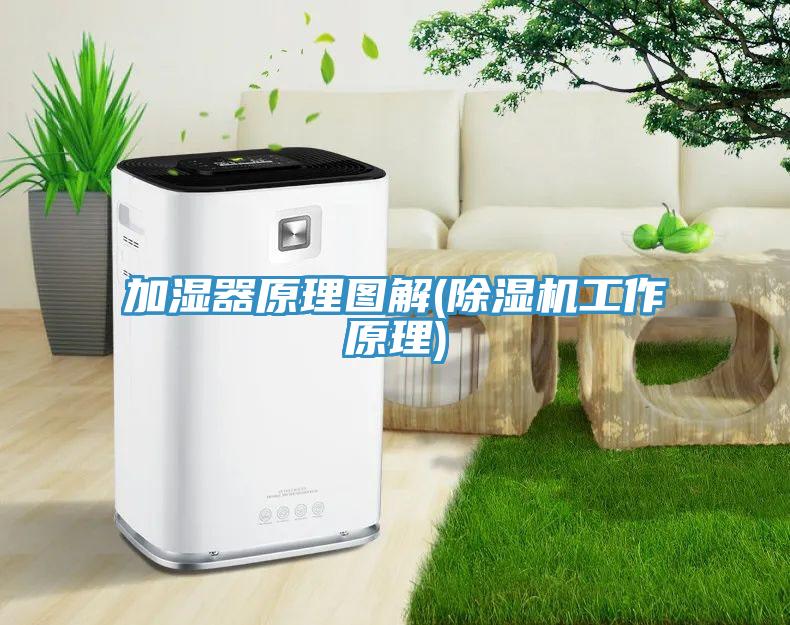 加濕器原理圖解(除濕機工作原理)