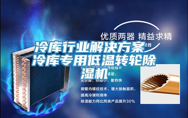 冷庫行業(yè)解決方案 冷庫專用低溫轉(zhuǎn)輪除濕機(jī)