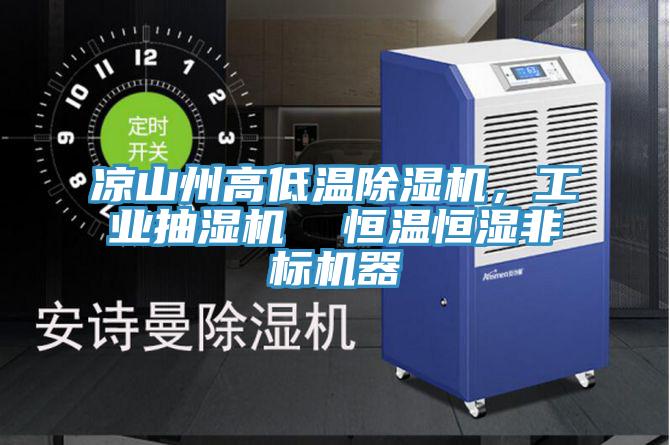 涼山州高低溫除濕機(jī)，工業(yè)抽濕機(jī)  恒溫恒濕非標(biāo)機(jī)器