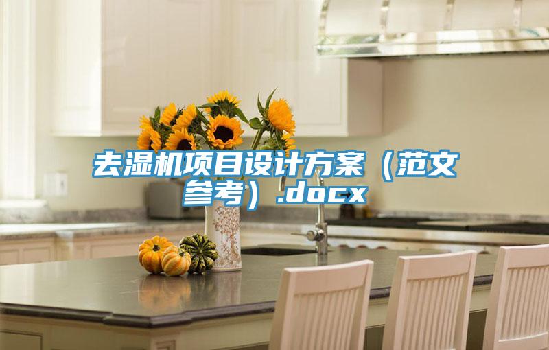 去濕機(jī)項(xiàng)目設(shè)計(jì)方案（范文參考）.docx
