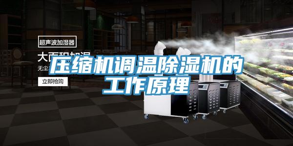 壓縮機調(diào)溫除濕機的工作原理
