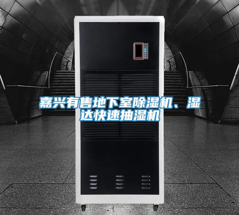 嘉興有售地下室除濕機(jī)、濕達(dá)快速抽濕機(jī)