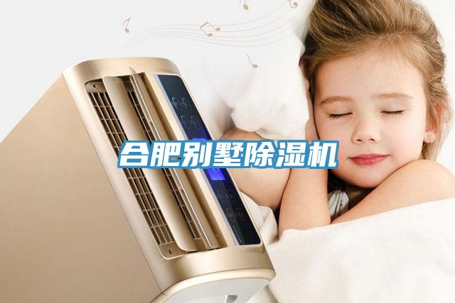 合肥別墅除濕機(jī)