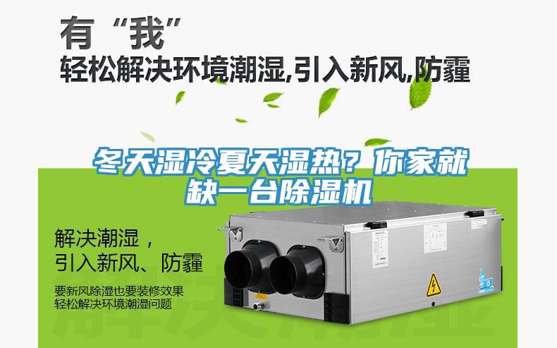 冬天濕冷夏天濕熱？你家就缺一臺除濕機