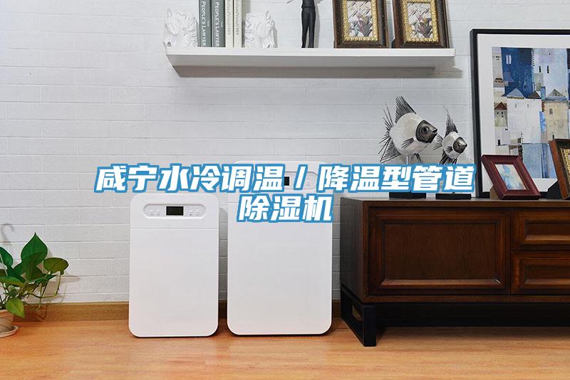 咸寧水冷調(diào)溫／降溫型管道除濕機