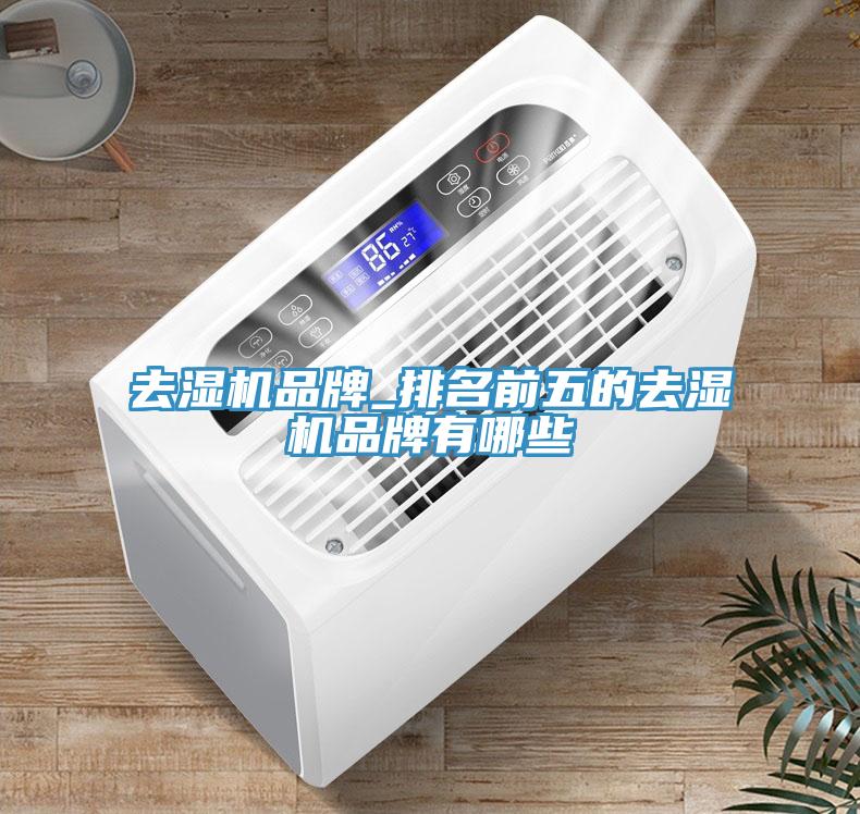 去濕機(jī)品牌_排名前五的去濕機(jī)品牌有哪些