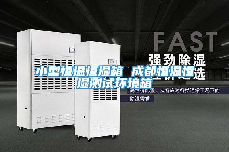 小型恒溫恒濕箱 成都恒溫恒濕測試環(huán)境箱