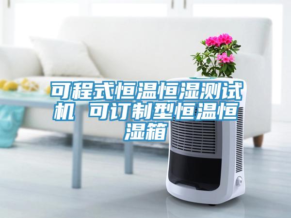 可程式恒溫恒濕測(cè)試機(jī) 可訂制型恒溫恒濕箱