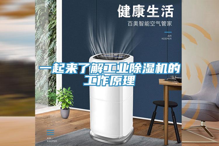 一起來了解工業(yè)除濕機的工作原理