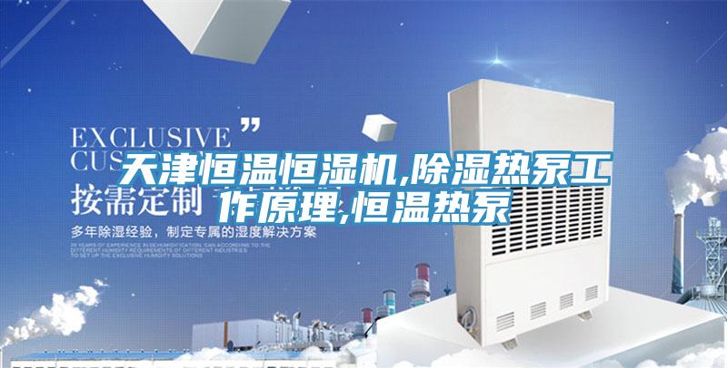天津恒溫恒濕機(jī),除濕熱泵工作原理,恒溫?zé)岜?></div>
								<div   id=