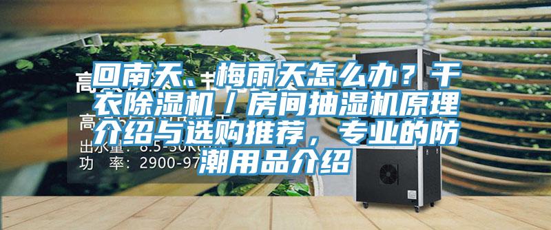 回南天、梅雨天怎么辦？干衣除濕機(jī)／房間抽濕機(jī)原理介紹與選購?fù)扑]，專業(yè)的防潮用品介紹