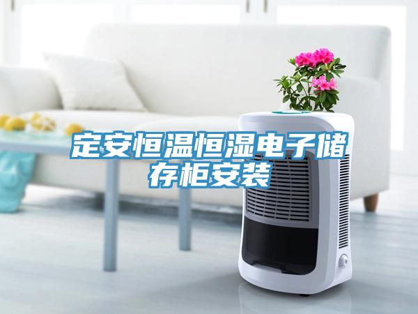 定安恒溫恒濕電子儲(chǔ)存柜安裝