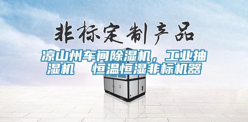 涼山州車間除濕機(jī)，工業(yè)抽濕機(jī)  恒溫恒濕非標(biāo)機(jī)器
