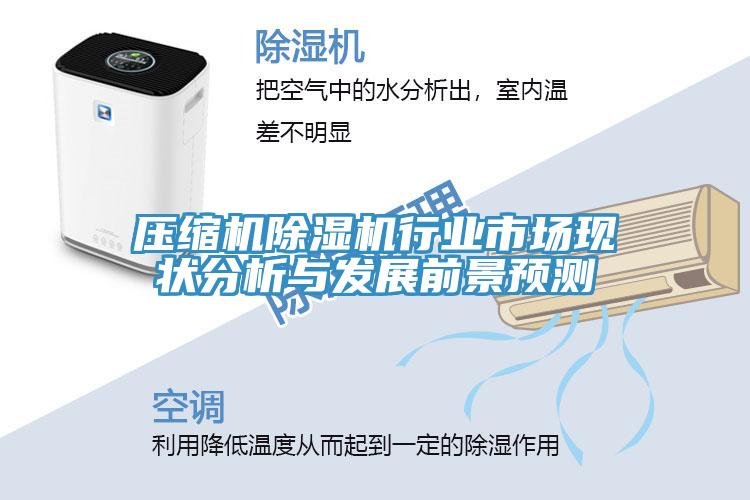壓縮機除濕機行業(yè)市場現(xiàn)狀分析與發(fā)展前景預測