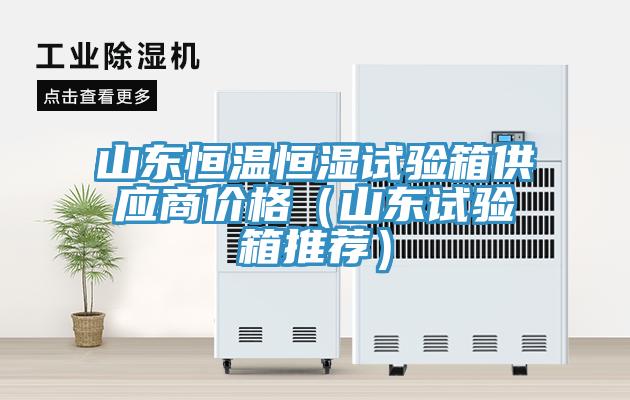 山東恒溫恒濕試驗箱供應(yīng)商價格（山東試驗箱推薦）
