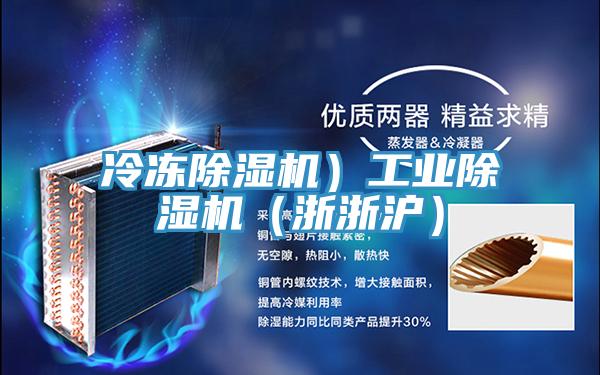冷凍除濕機(jī)）工業(yè)除濕機(jī)（浙浙滬）