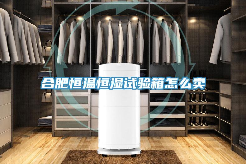 合肥恒溫恒濕試驗箱怎么賣