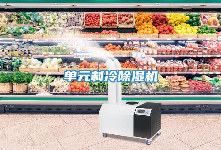 單元制冷除濕機