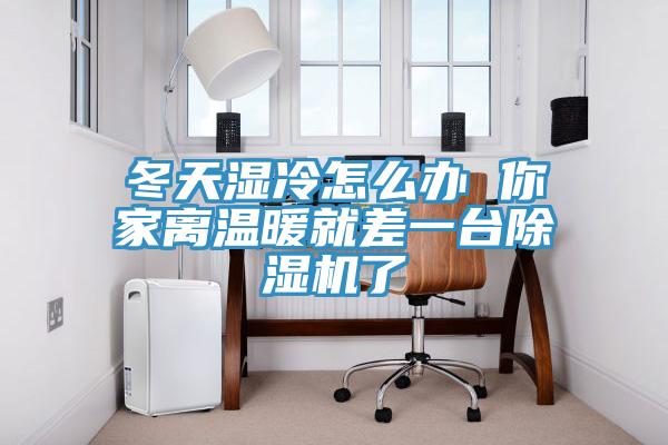 冬天濕冷怎么辦 你家離溫暖就差一臺除濕機了