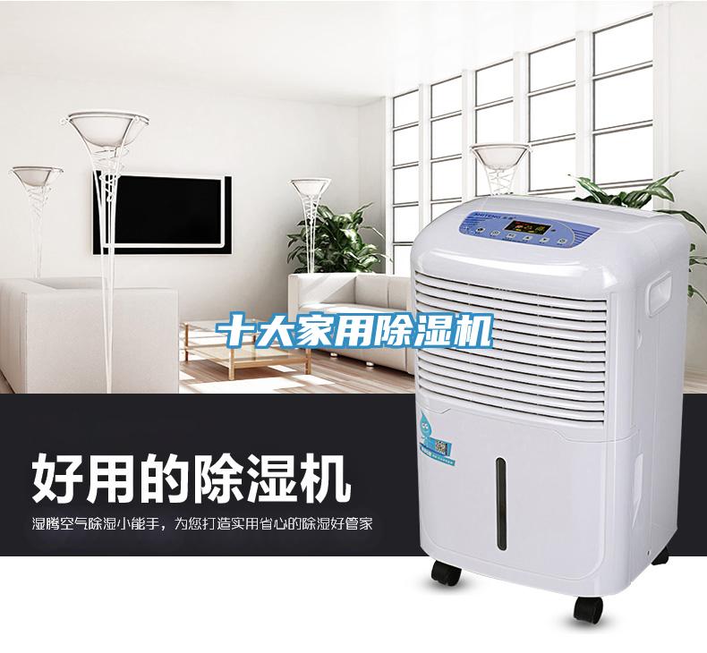 十大家用除濕機