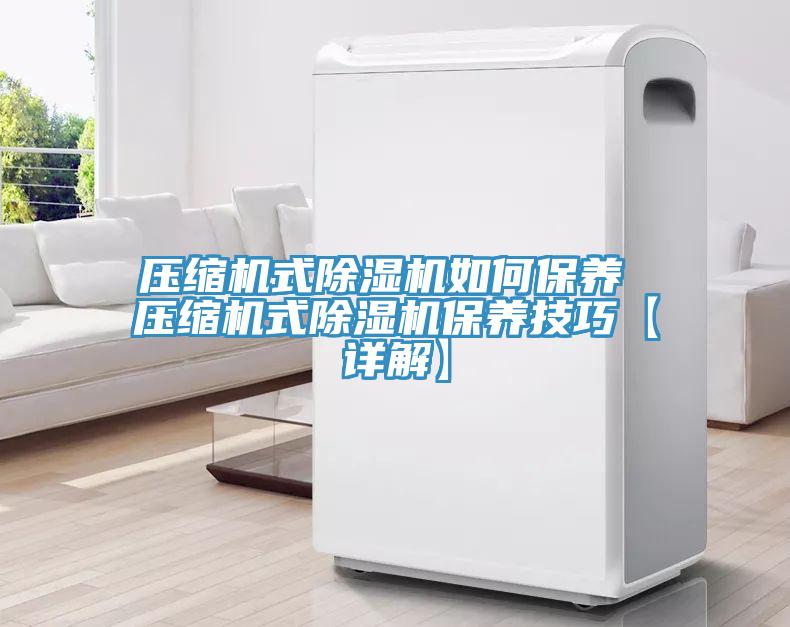 壓縮機(jī)式除濕機(jī)如何保養(yǎng) 壓縮機(jī)式除濕機(jī)保養(yǎng)技巧【詳解】