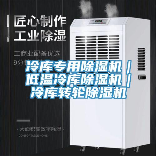冷庫專用除濕機(jī)｜低溫冷庫除濕機(jī)｜冷庫轉(zhuǎn)輪除濕機(jī)