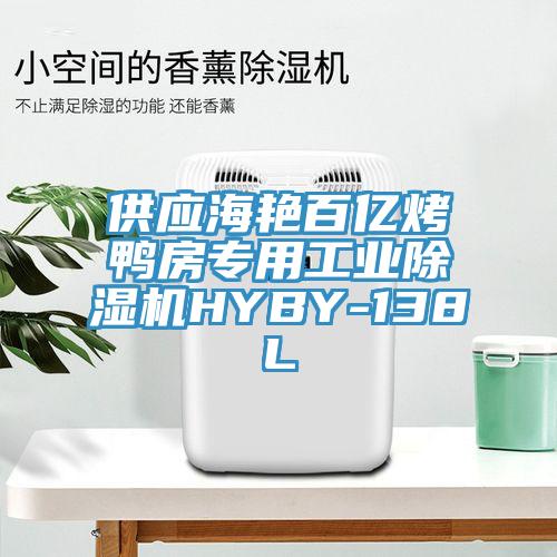 供應海艷百億烤鴨房專用工業(yè)除濕機HYBY-138L