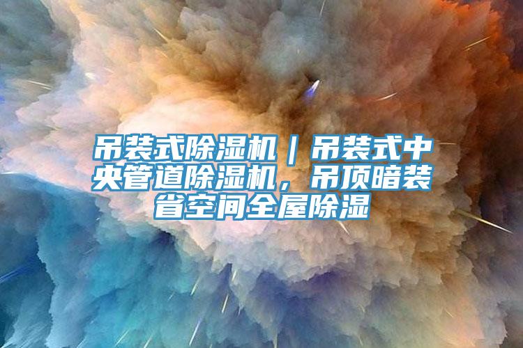 吊裝式除濕機｜吊裝式中央管道除濕機，吊頂暗裝省空間全屋除濕