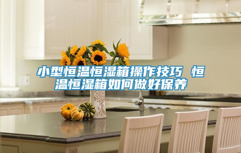 小型恒溫恒濕箱操作技巧 恒溫恒濕箱如何做好保養(yǎng)
