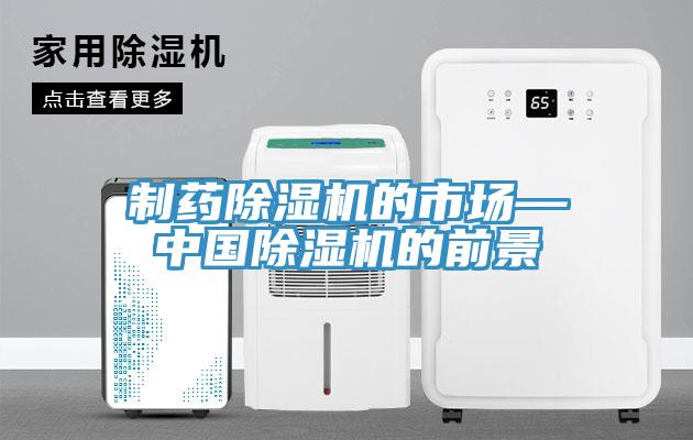 制藥除濕機的市場—中國除濕機的前景