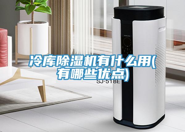 冷庫除濕機有什么用(有哪些優(yōu)點)