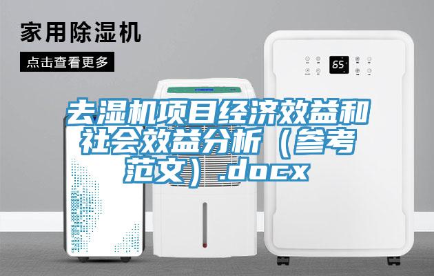 去濕機(jī)項目經(jīng)濟(jì)效益和社會效益分析（參考范文）.docx