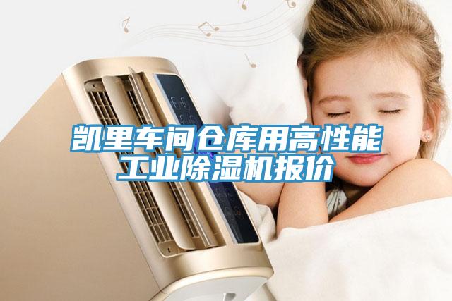 凱里車間倉庫用高性能工業(yè)除濕機(jī)報價