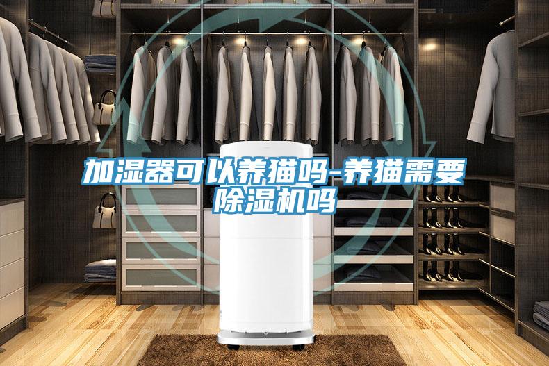 加濕器可以養(yǎng)貓嗎-養(yǎng)貓需要除濕機嗎