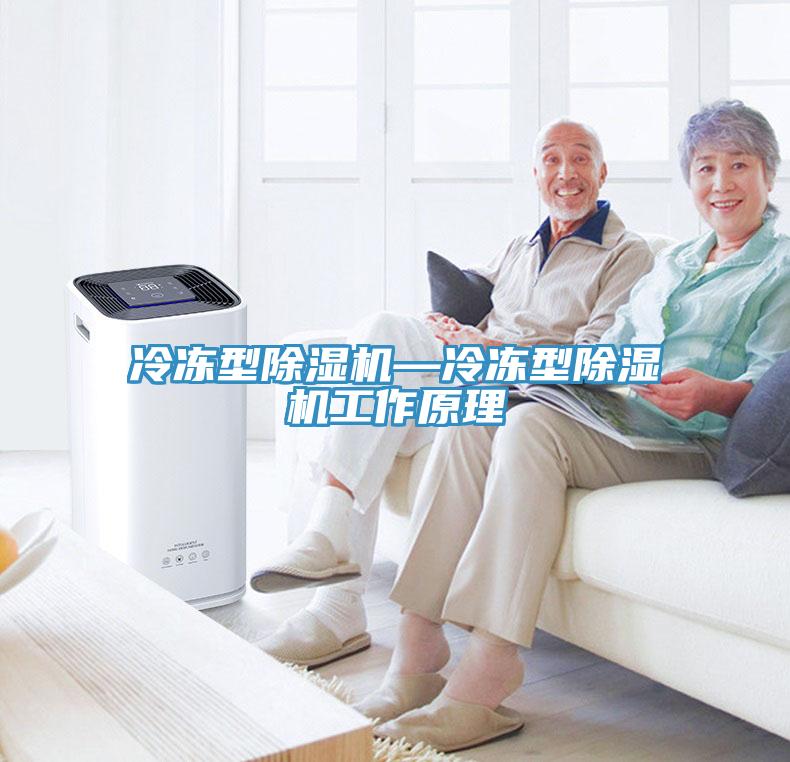 冷凍型除濕機—冷凍型除濕機工作原理