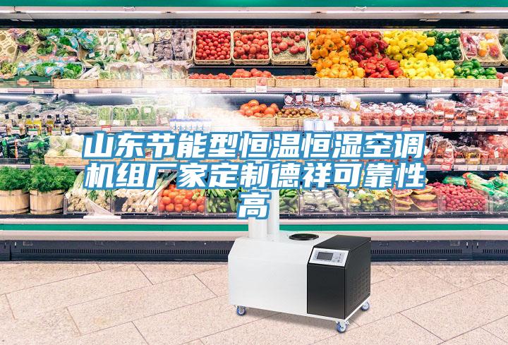 山東節(jié)能型恒溫恒濕空調(diào)機(jī)組廠家定制德祥可靠性高