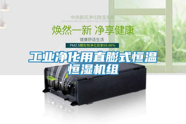 工業(yè)凈化用直膨式恒溫恒濕機(jī)組