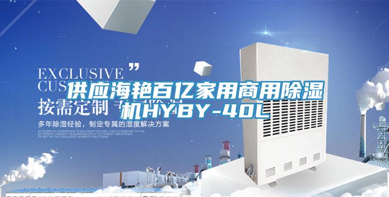 供應海艷百億家用商用除濕機HYBY-40L