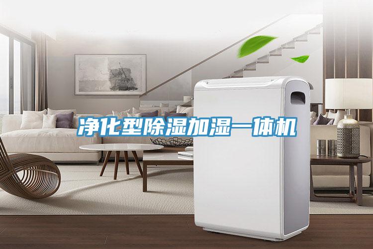 凈化型除濕加濕一體機